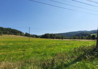 działka na sprzedaż - Czarny Bór, Grzędy Górne