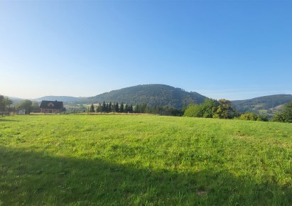 działka na sprzedaż - Głuszyca (gw), Grzmiąca