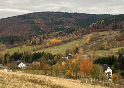 działka na sprzedaż - Rzeczka